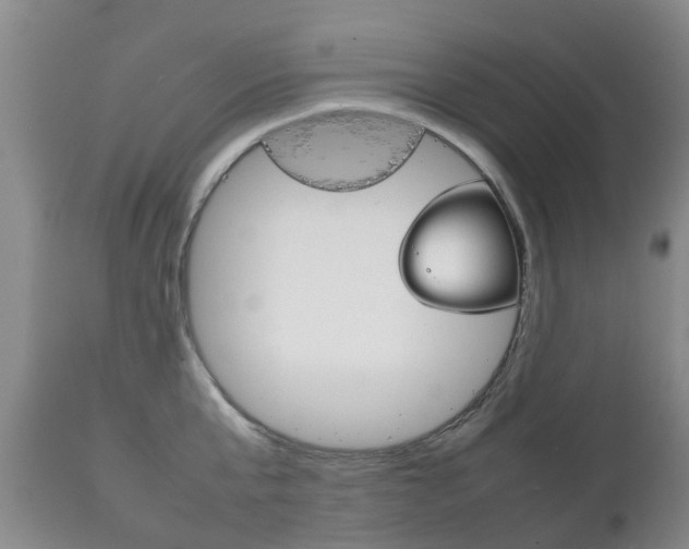 X0000111230807200907021022