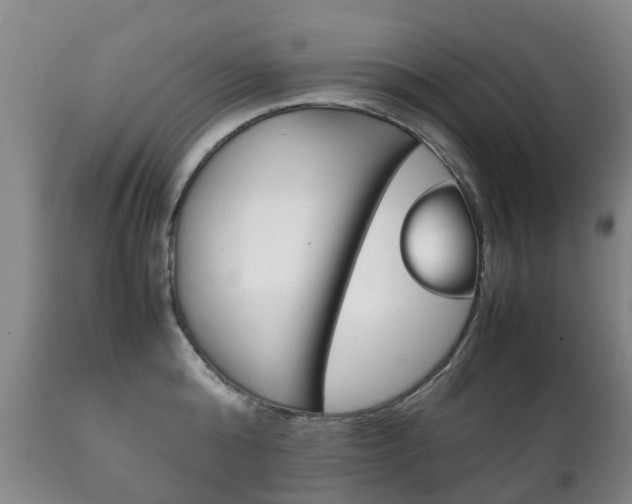 X0000111230808200907021022