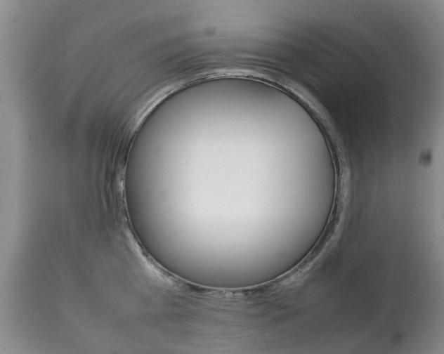 X0000111230809200907021022