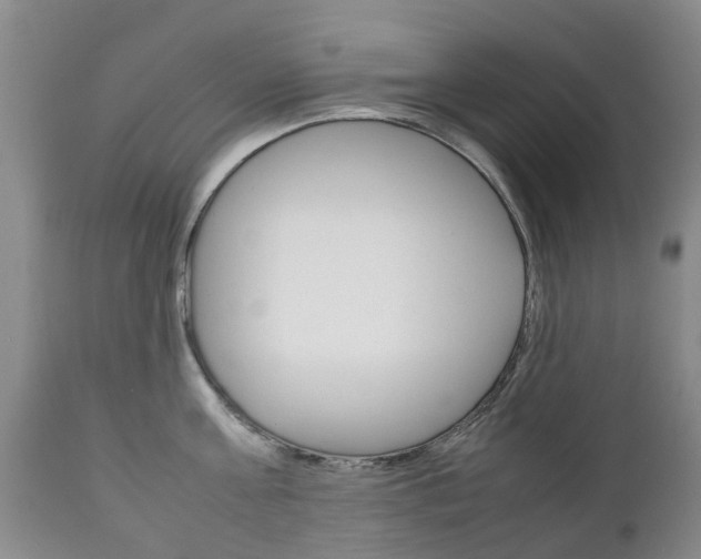 X0000111230811200907021022