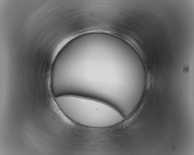 X0000111230812200907021022