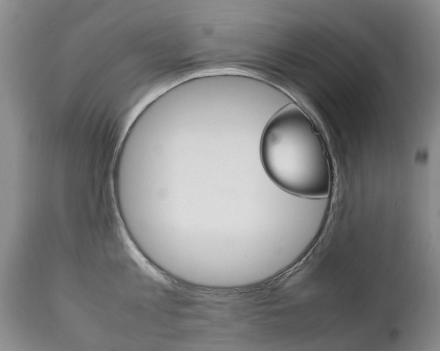 X0000111230813200907021022
