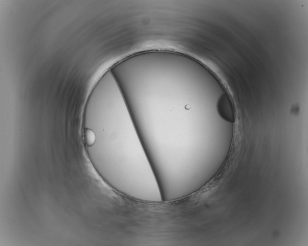 X0000111230815200907021022