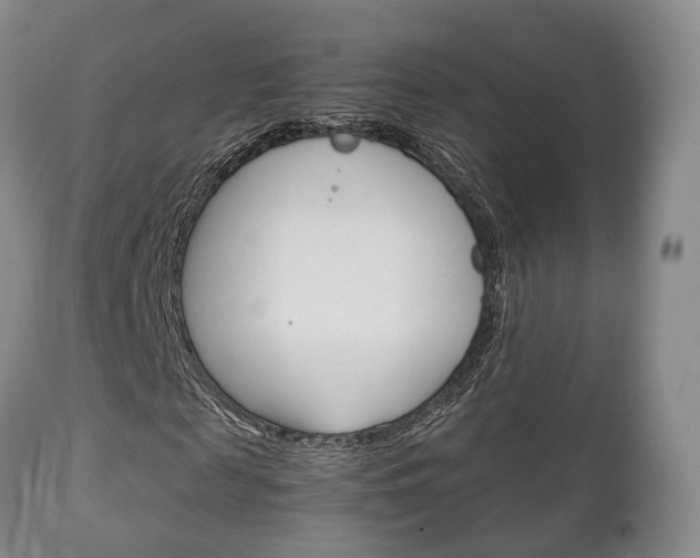 X0000111230817200907021021