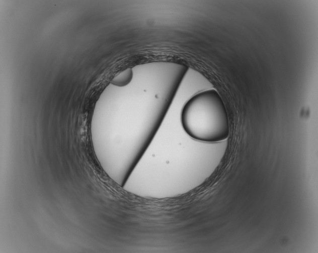 X0000111230818200907021021