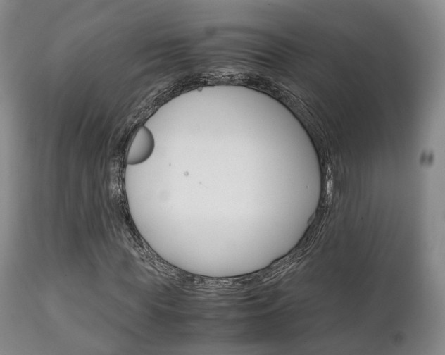 X0000111230819200907021021