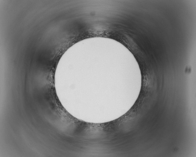 X0000111230820200907021021