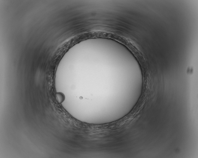 X0000111230821200907021021