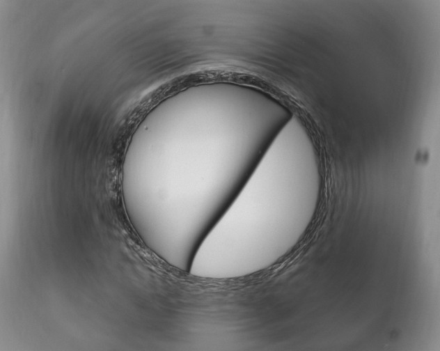 X0000111230822200907021022
