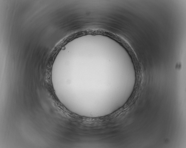 X0000111230823200907021022