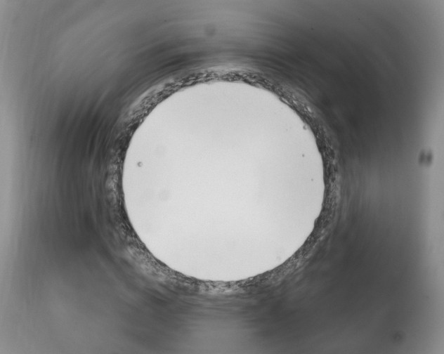 X0000111230824200907021022