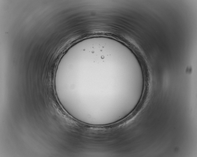 X0000111230825200907021022