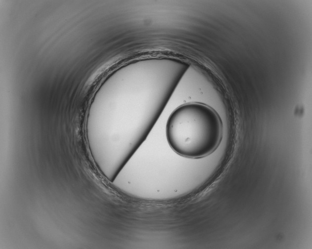 X0000111230826200907021022