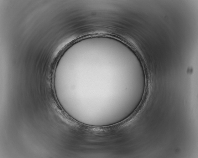 X0000111230827200907021022