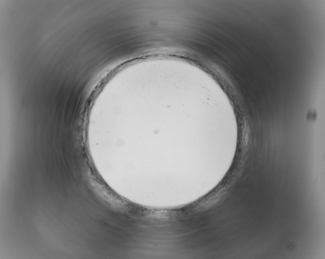 X0000111230828200907021022
