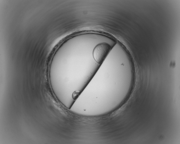 X0000111230830200907021022