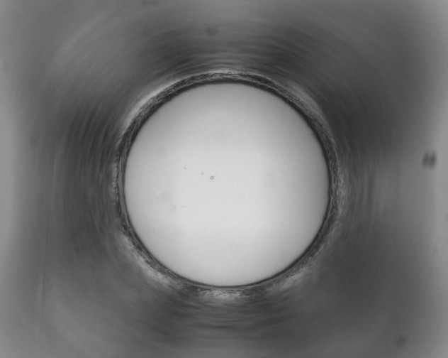 X0000111230831200907021022