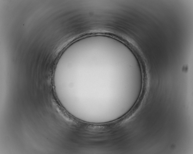 X0000111230833200907021022