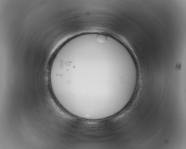 X0000111230835200907021022