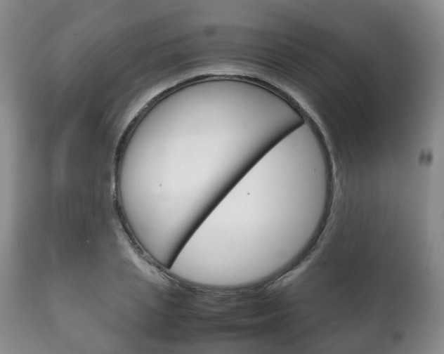 X0000111230837200907021022