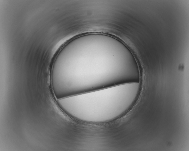 X0000111230838200907021022