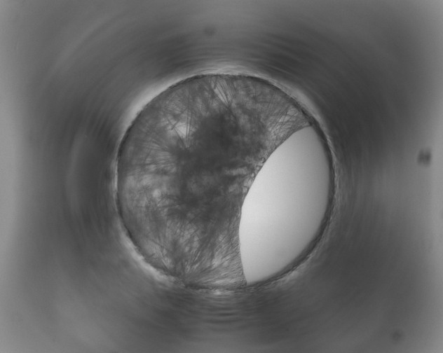 X0000111230839200907021022