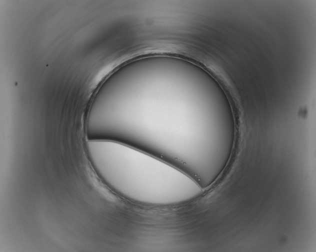 X0000111230842200907021022