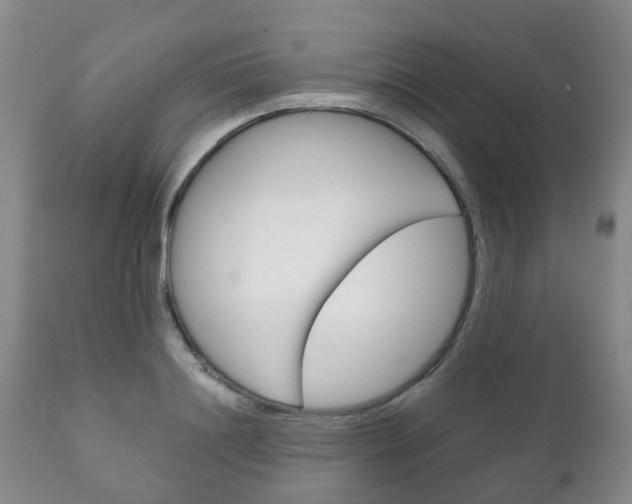 X0000111230844200907021022