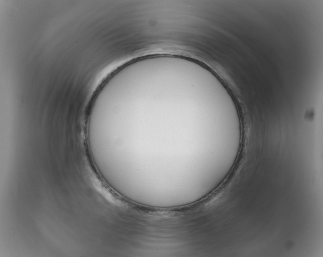 X0000111230846200907021022