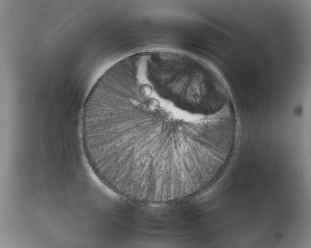 X0000111230847200907021022