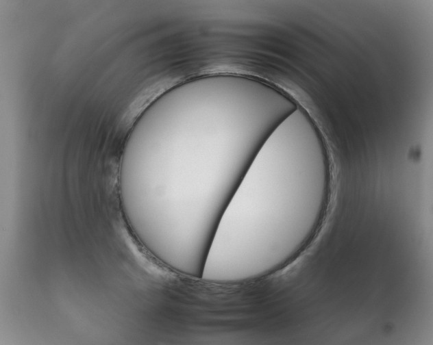 X0000111230849200907021022