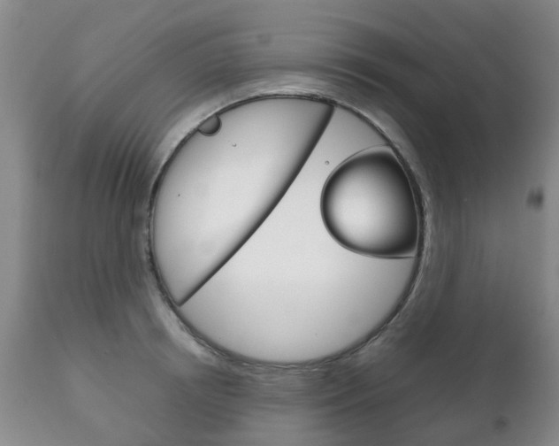 X0000111230850200907021022