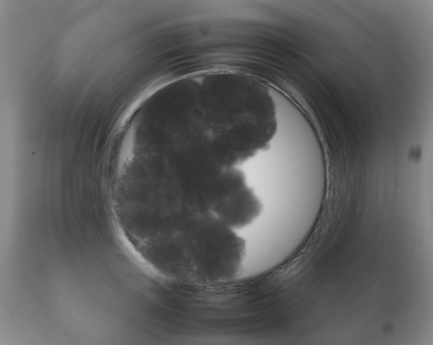 X0000111230851200907021022