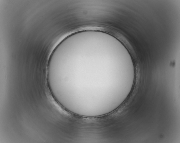 X0000111230852200907021022