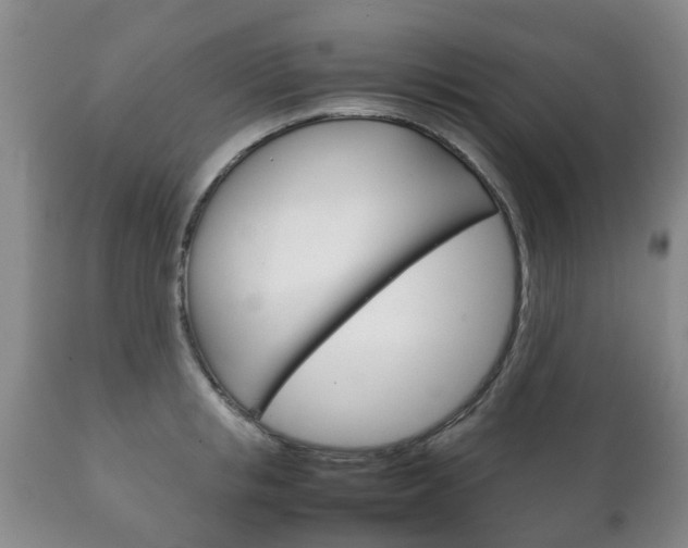 X0000111230853200907021022