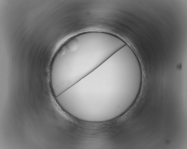 X0000111230854200907021022
