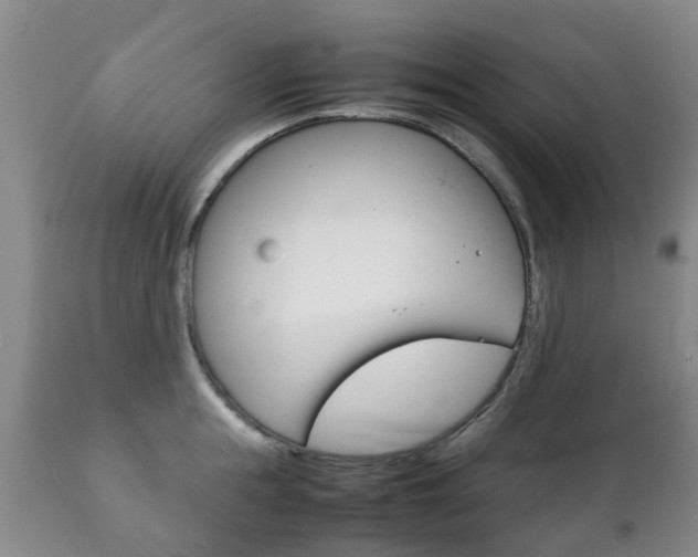 X0000111230855200907021022