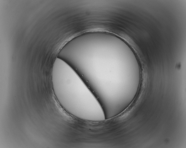 X0000111230857200907021022