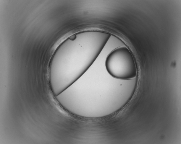 X0000111230858200907021022