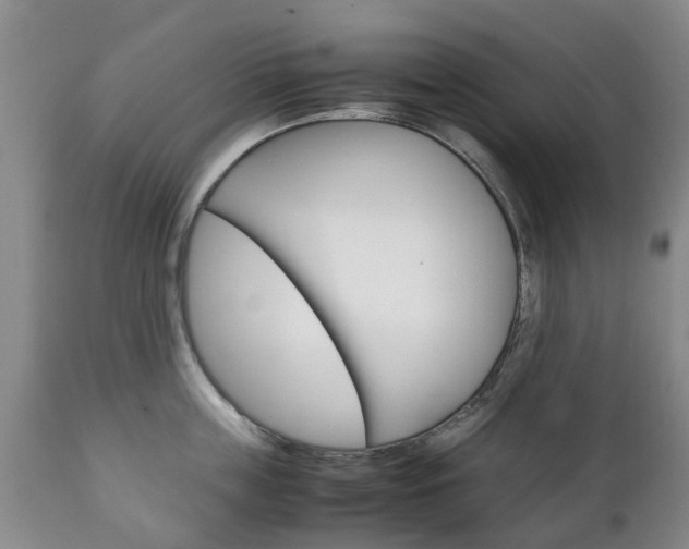 X0000111230859200907021022