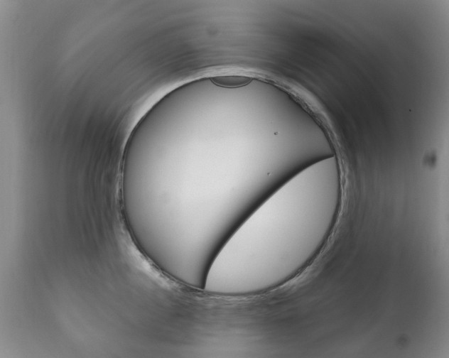 X0000111230860200907021022