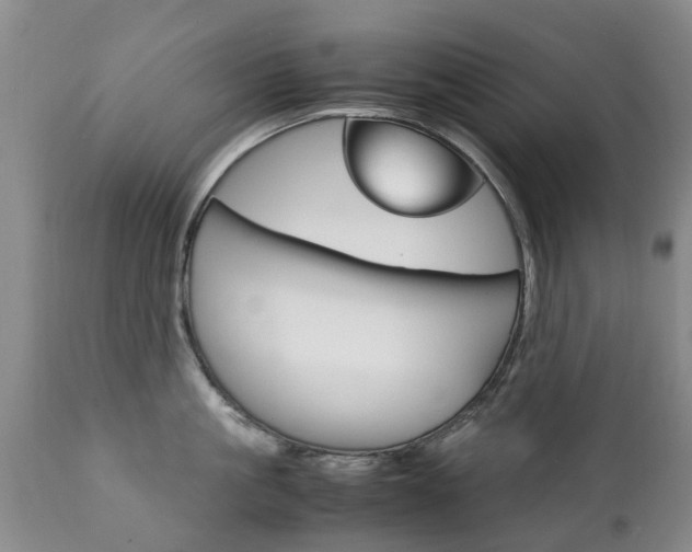 X0000111230861200907021022