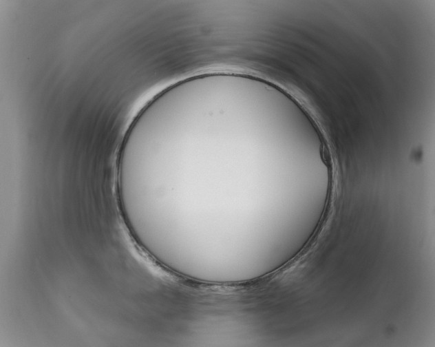 X0000111230862200907021022