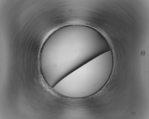 X0000111230864200907021022