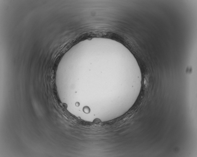 X0000111230867200907021021