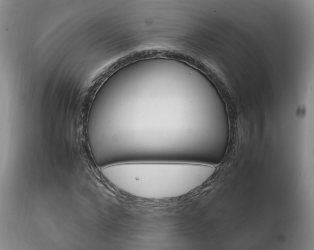 X0000111230872200907021021