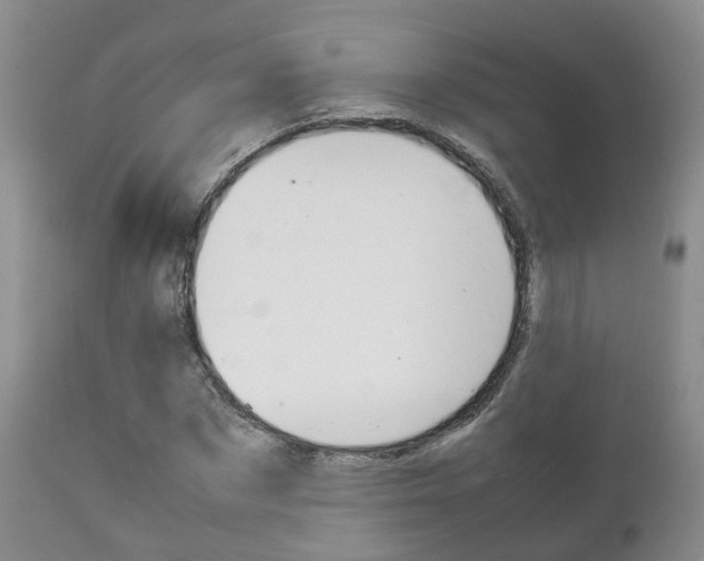 X0000111230873200907021021