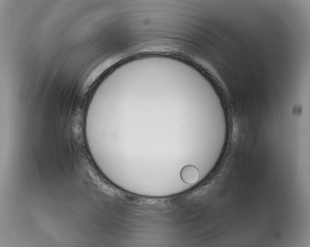 X0000111230874200907021021