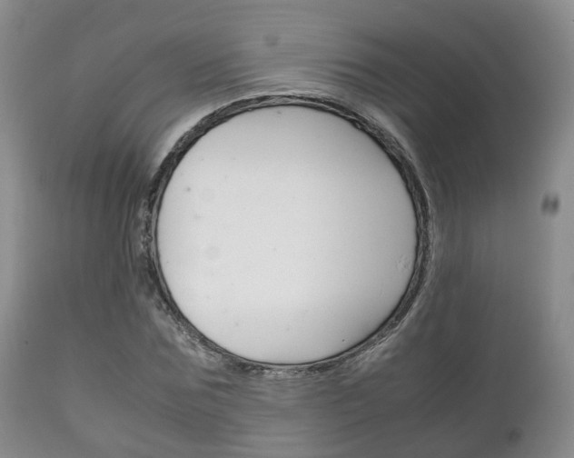 X0000111230875200907021021