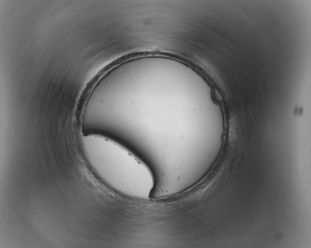 X0000111230876200907021021